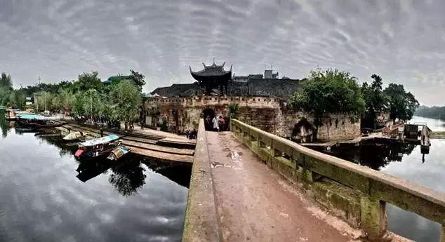 望帝春心托杜鹃
